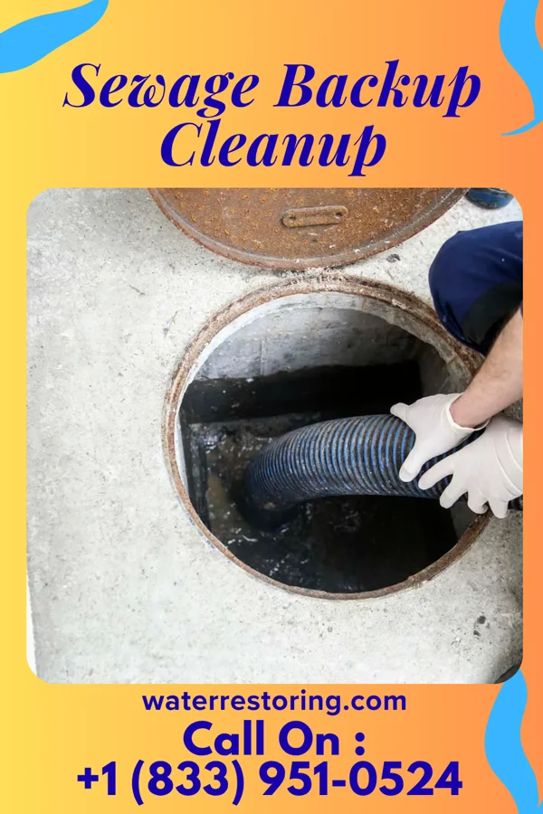 Sewage Backup Cleanup in Whiteville, NC