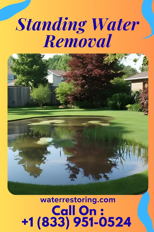 Standing Water Removal in Whiteville, NC